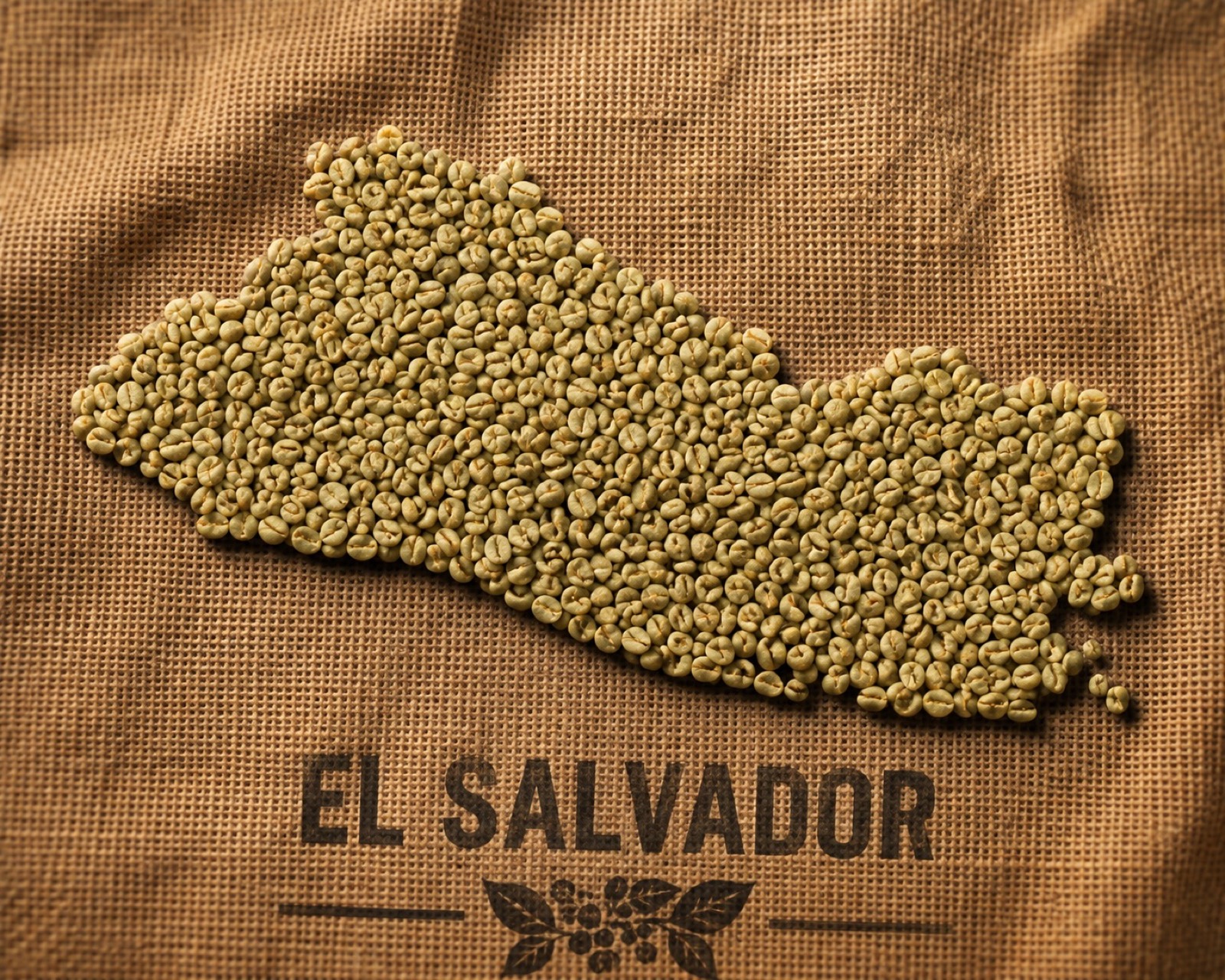 Map of El Salvador drawn in green coffee beans on jute